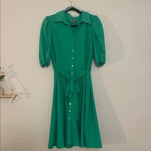 Express Emerald Midi Dress with Puff Sleeves